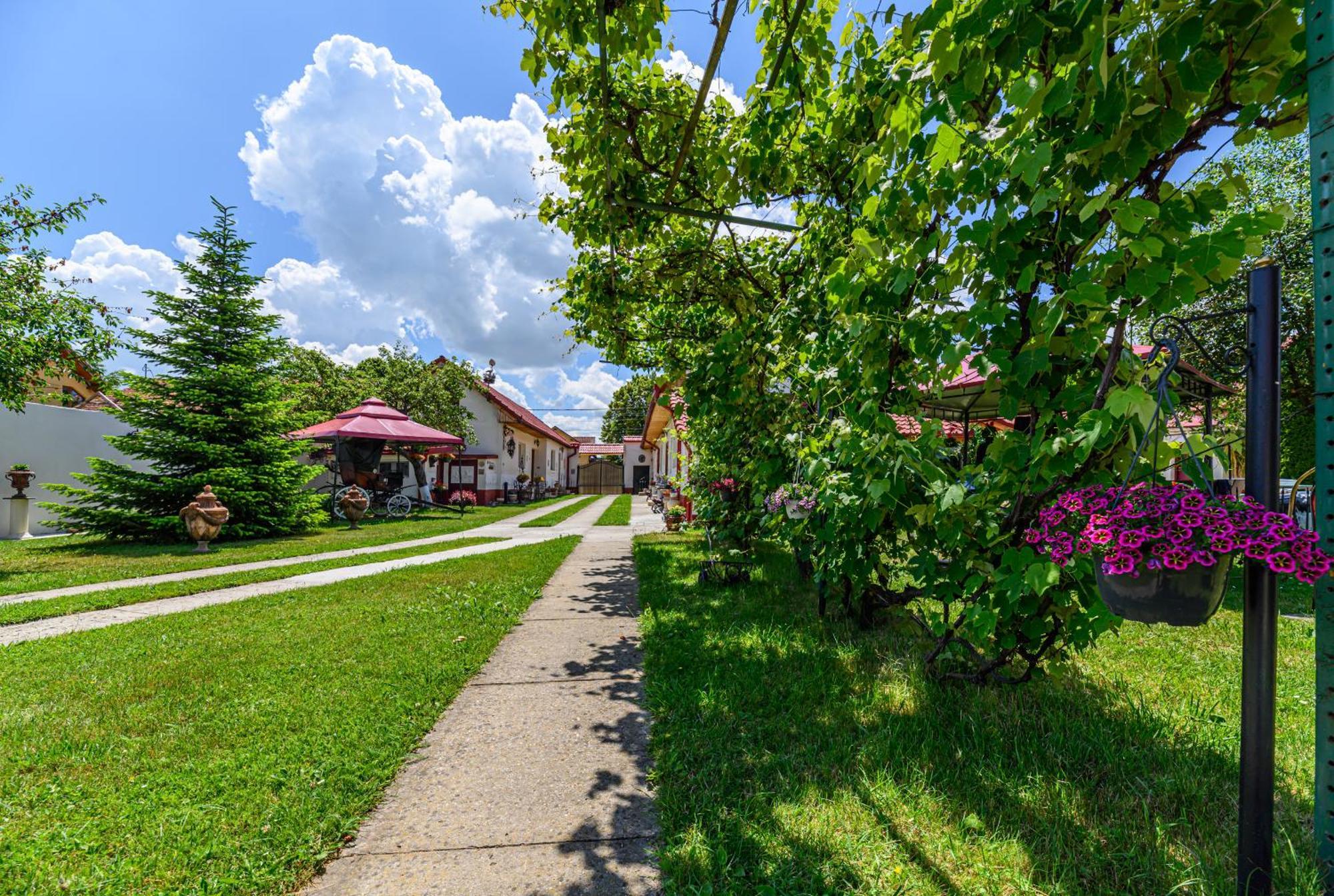 Pensiunea Roma Antica Hărman Exterior foto